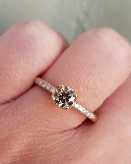 Chocolate Diamond Engagement Ring